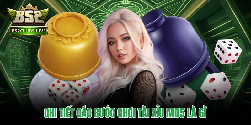 Chi tiết các bước chơi tài xỉu MD5 là gì